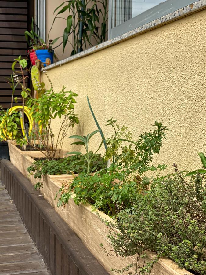 Suites Balneario Camboriu Exterior photo